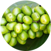 ingredient_1
