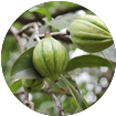 ingredient_4